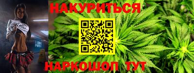 мдпв Кингисепп