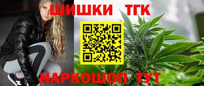 мдпв Кингисепп