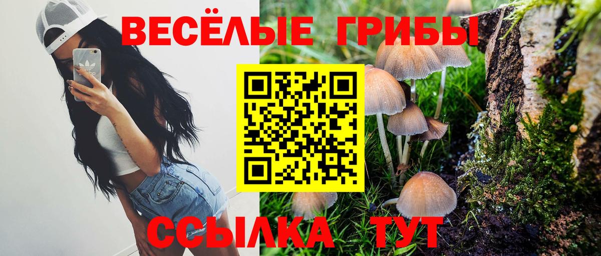 Галлюциногенные грибы Cubensis Радужный